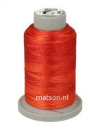 Brildor Multicolor 1000 m, kleur 2863